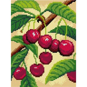 3586 Cseresznyék 18x24 cm