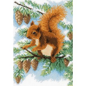PN-0195604 Mókus a fenyőn 19x27 cm