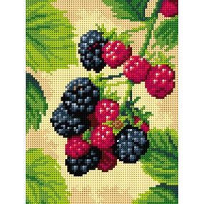 3588 Szeder 18x24 cm