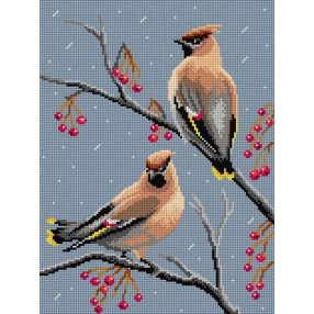 3592 Csonttollú 30x40 cm