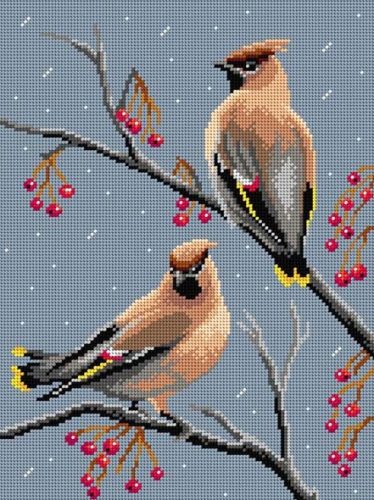 3592 Csonttollú 30x40 cm