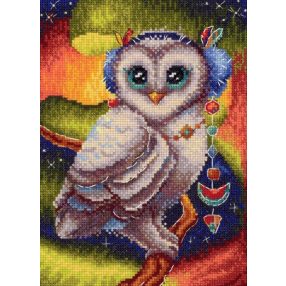 SNV803 In the northern area 20x14 cm