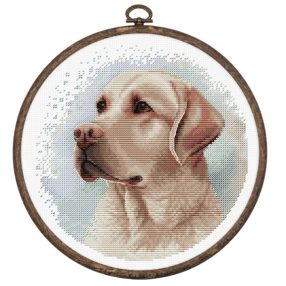 BC211 Labrador 16x16 cm