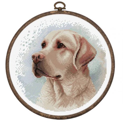 BC211 Labrador 16x16 cm