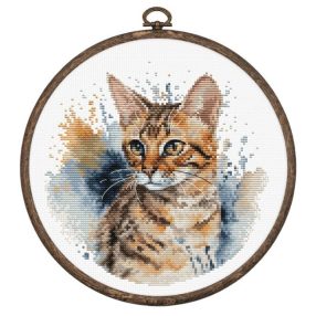 BC210 Bengáli macska 16x16 cm