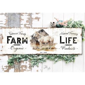 2758 Farm life, ló - családnévvel 