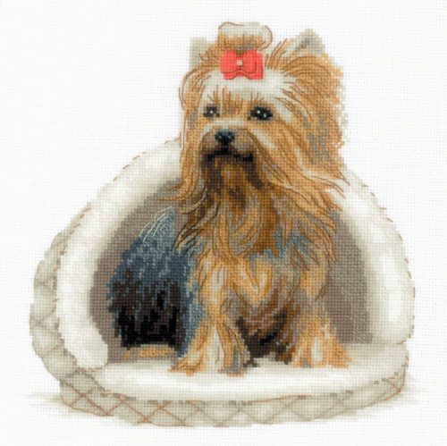 2152 Yorkshire Terrier 25x25 cm