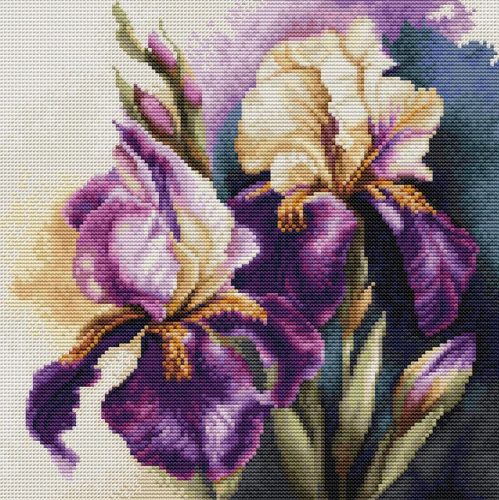 B7023 Iris Burgermeister 22x22 cm