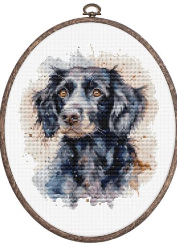 BC213 Border Collie 17x20 cm