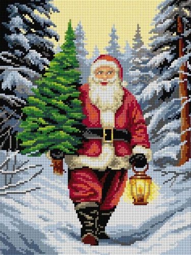 3608 Santa Claus 30x40 cm