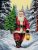 3608 Santa Claus 30x40 cm
