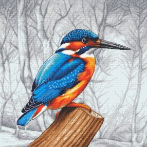 Z10767 Kingfisher on the hunt 40x40 cm