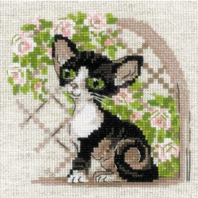 2121 Cornish Rex Kitten 15x15 cm