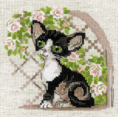 2121 Cornish Rex Cica 15x15 cm