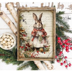 2446 Karácsonyi nyuszi lány 