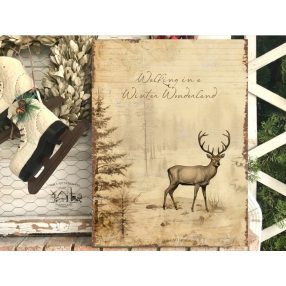 2507 Walking in a Winter Wonderland 