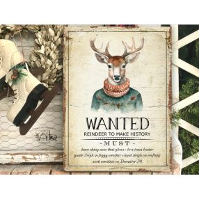 3000 Wanted reindeer 