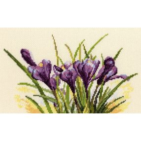 M584 Spring crocuses 25x15,5 cm
