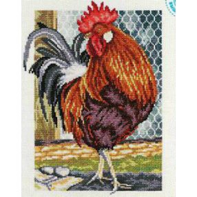 M350 Cock of the walk 17x24 cm