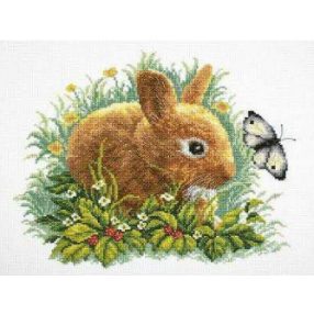 M323 Rabbit and butterfly  30x35 cm