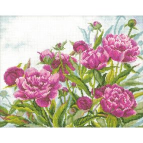M272 Peonies  34,5x27 cm