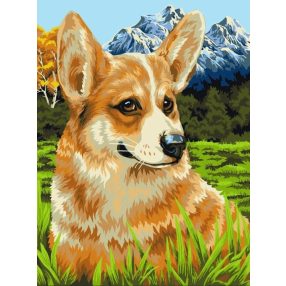 H094 Corgi 40x50 cm