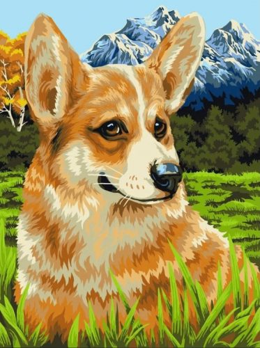 H094 Corgi 40x50 cm