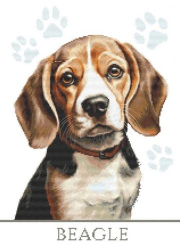 Z10858 Beagle 30x40 cm