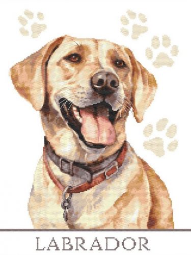 Z10863 Labrador 30x40 cm