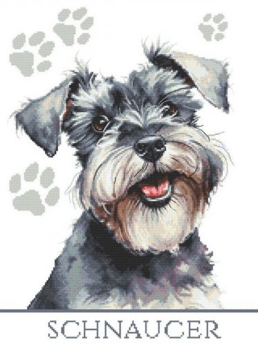 10862 Schnaucer 37x49 cm