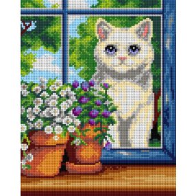 3518 Fehér macska 24x30 cm