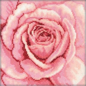 C070 Pink Rose 12x12 cm