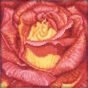 C069 Red Rose 12x12 cm