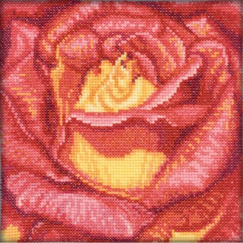 C069 Piros rózsa 12x12 cm