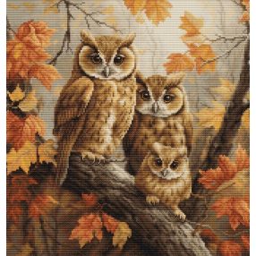BU5045 Bagoly család 27x29 cm
