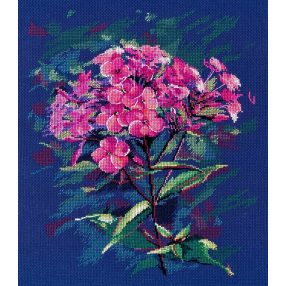 S1590 Phloxes 24x29 cm