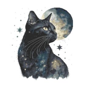 Z11005 Moon cat 40x40 cm