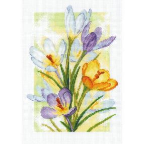 2190 Spring Glow. Crocuses 21x30 cm