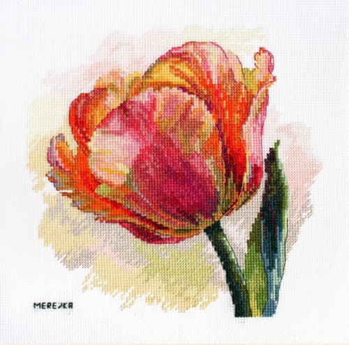 SK248 Papagáj tulipán 21x21 cm