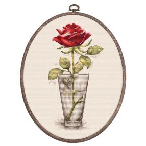 BC235 Rózsa Mister Lincoln 9x17,5 cm