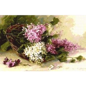 CRC - Egy kosár orgona