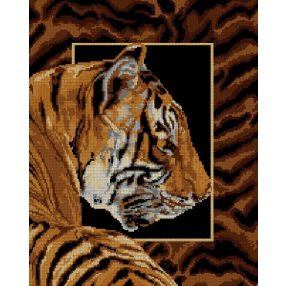 6081 Tiger 40x50 cm