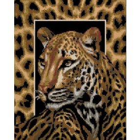 6082 Leopard 40x50 cm