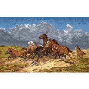 733 Mustangs 50x80 cm