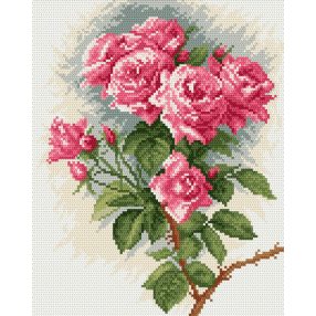 4045 Roses 24x30 cm
