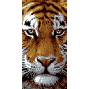 6536 Tiger 25x50 cm