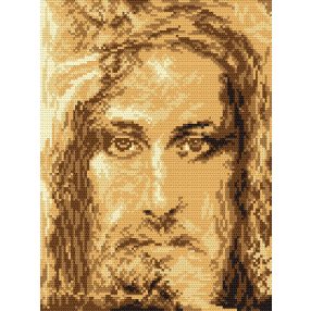 4264 Shroud of Turin 23x30 cm