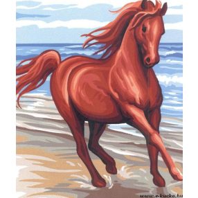 131 151 Vágta 30x40 cm