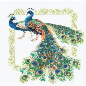 767 Peacock 48 x 48 cm