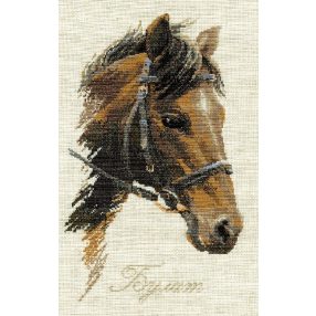 826 Brown Stallion 24 x 40 cm
